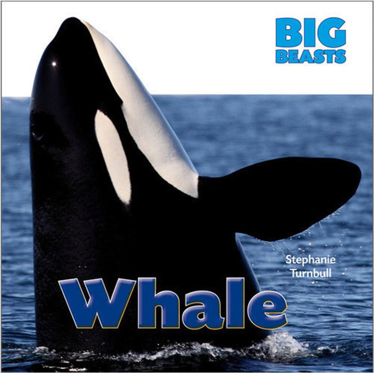 Whale (Paperback) by Stephanie Turnbull