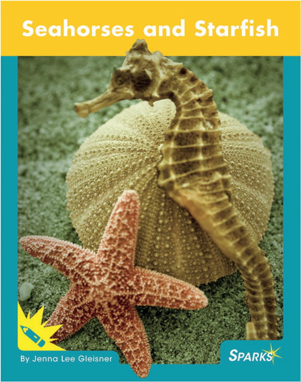 Seahorses and Starfish by Jenna Lee Gleisner
