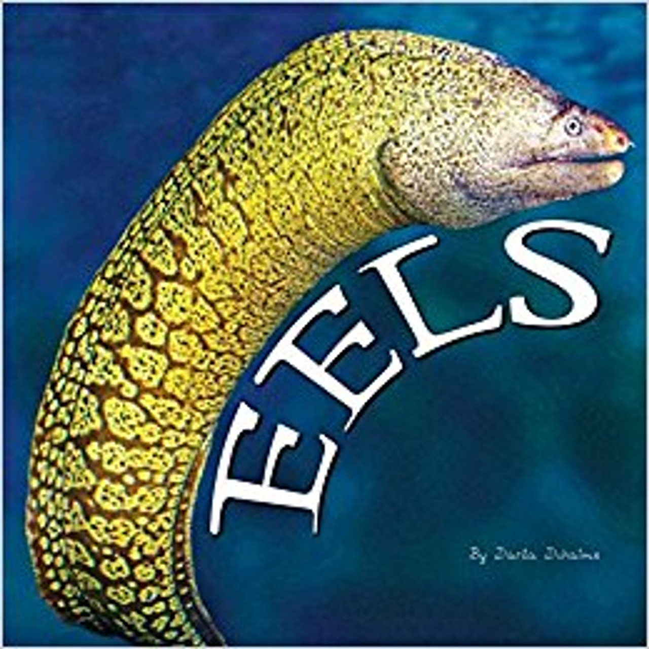 Eels are amazing creatures. They are practically invisible when they are born. And they can swim backward! Dive in to learn more about eels.