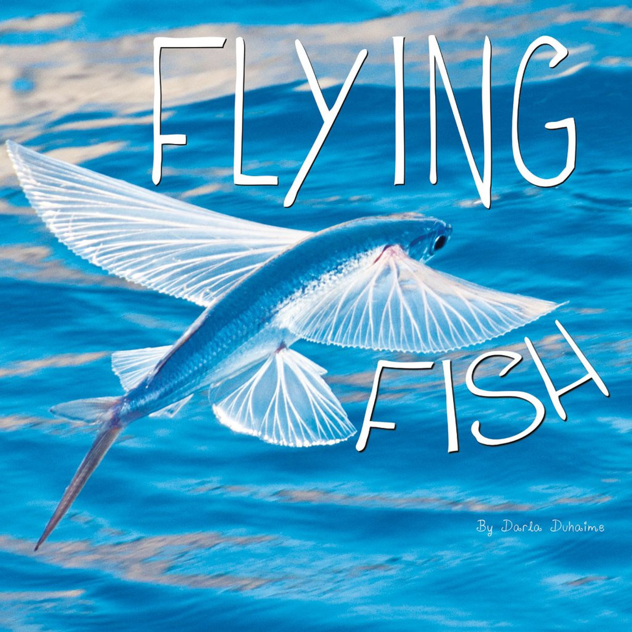 Flying Fish are amazing creatures. They propel out of the water and use their wings to glide through the air! Dive in to learn more about flying fish.