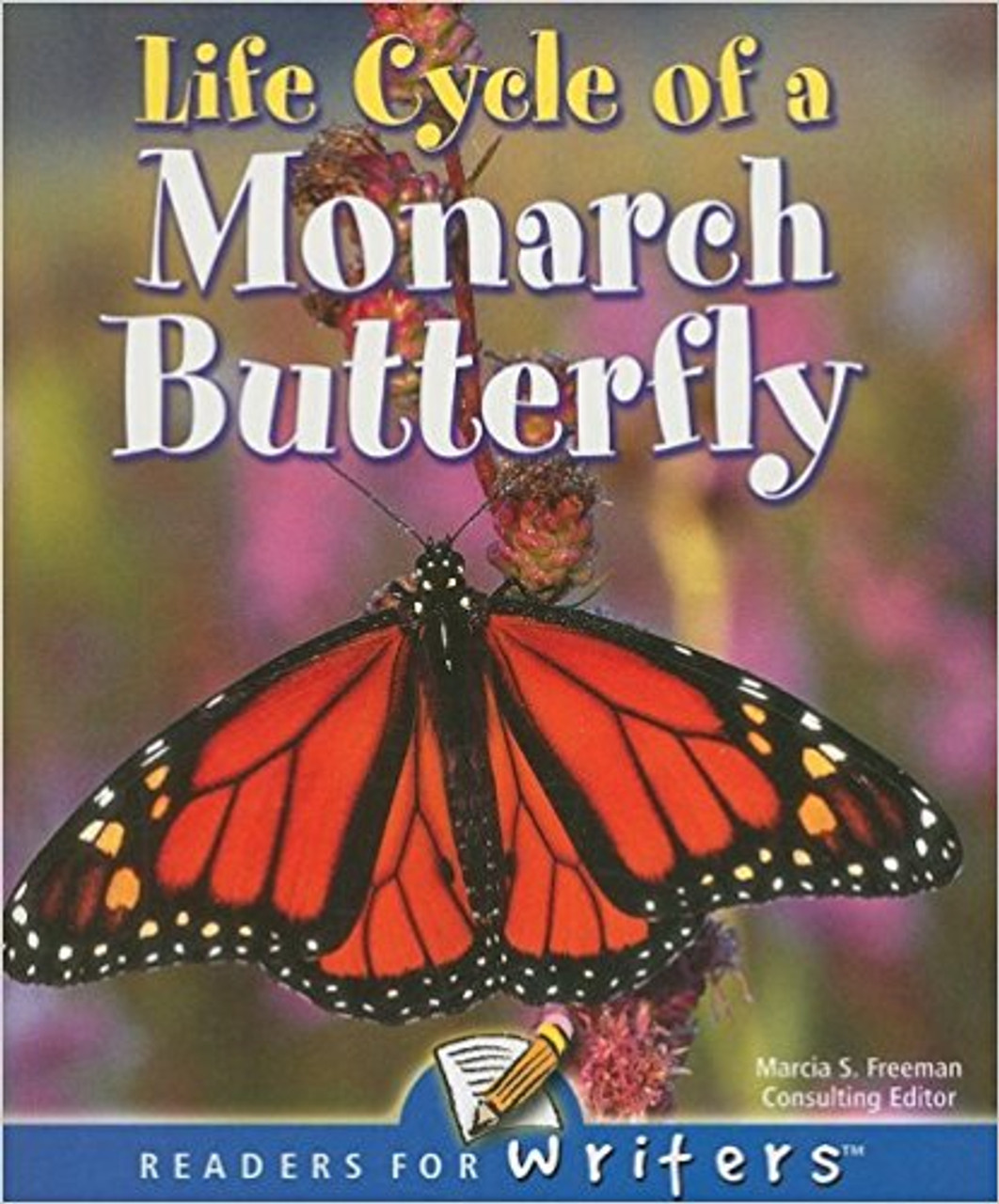 Describes The Life Cycle Of A Butterfly And How It Moves From One Stage To The Next.