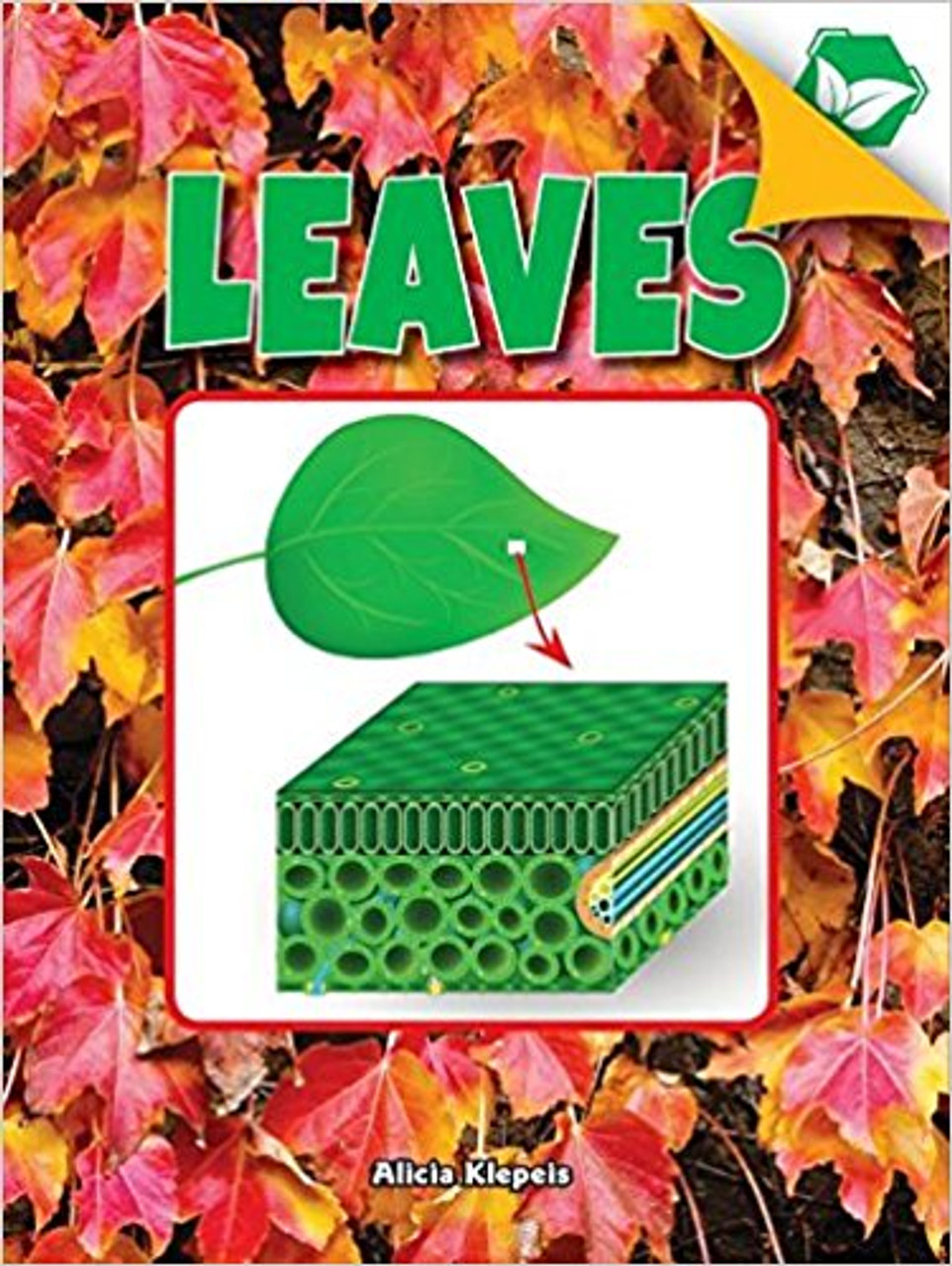 Some are bigger than a school bus. Others are as small as a candy sprinkle. Some make people itch. What are they? Plant leaves! Find out why leaves are a certain shape and size, how they help plants grow, and perform your own experiment to find out just what leaves need to grow.