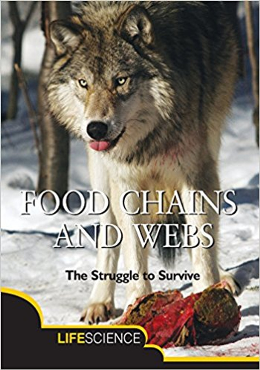  Discusses the food chain and how it includes a description of terms like energy, producers, consumers, decomposers and how it all fits together