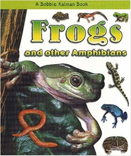 Frogs and other Amphibians (Paperback) by Bobbie Kalman