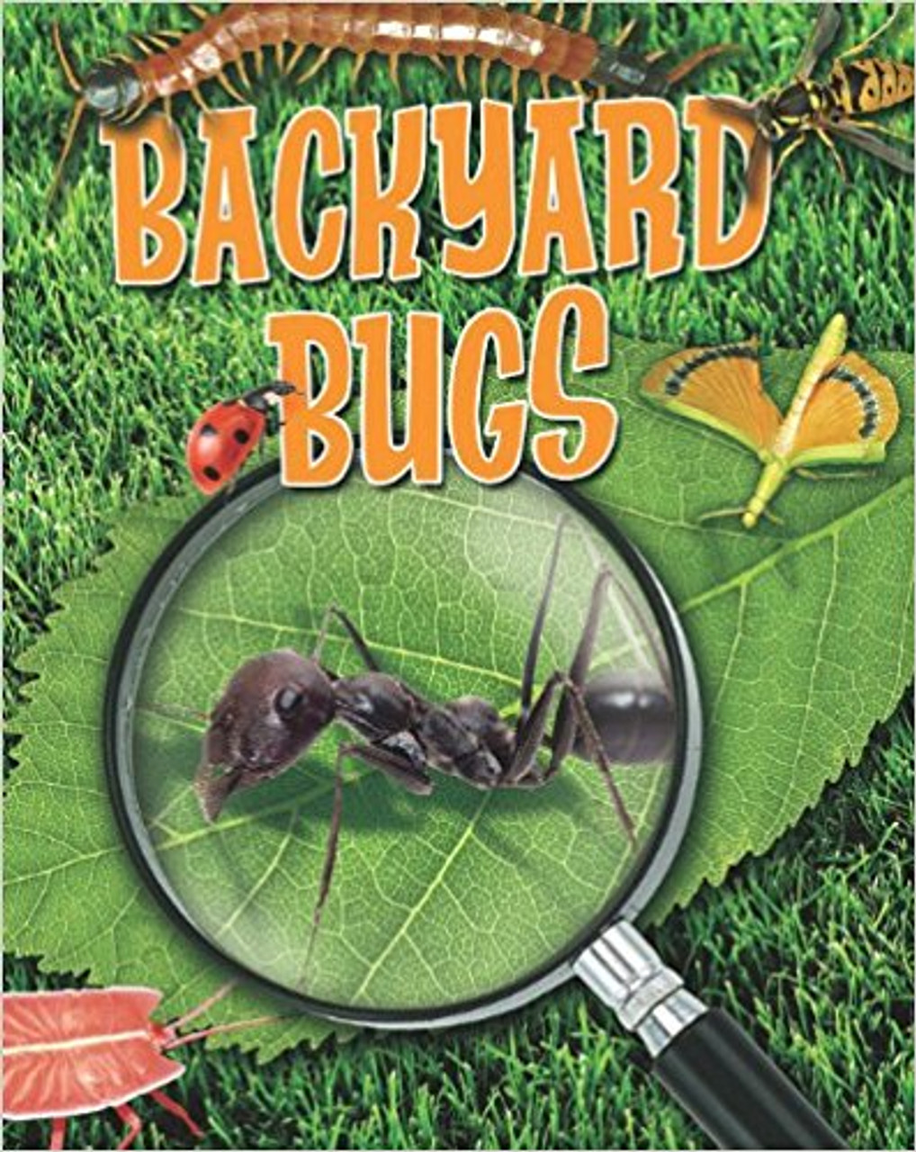 Backyard Bugs by Louise Spilsbury