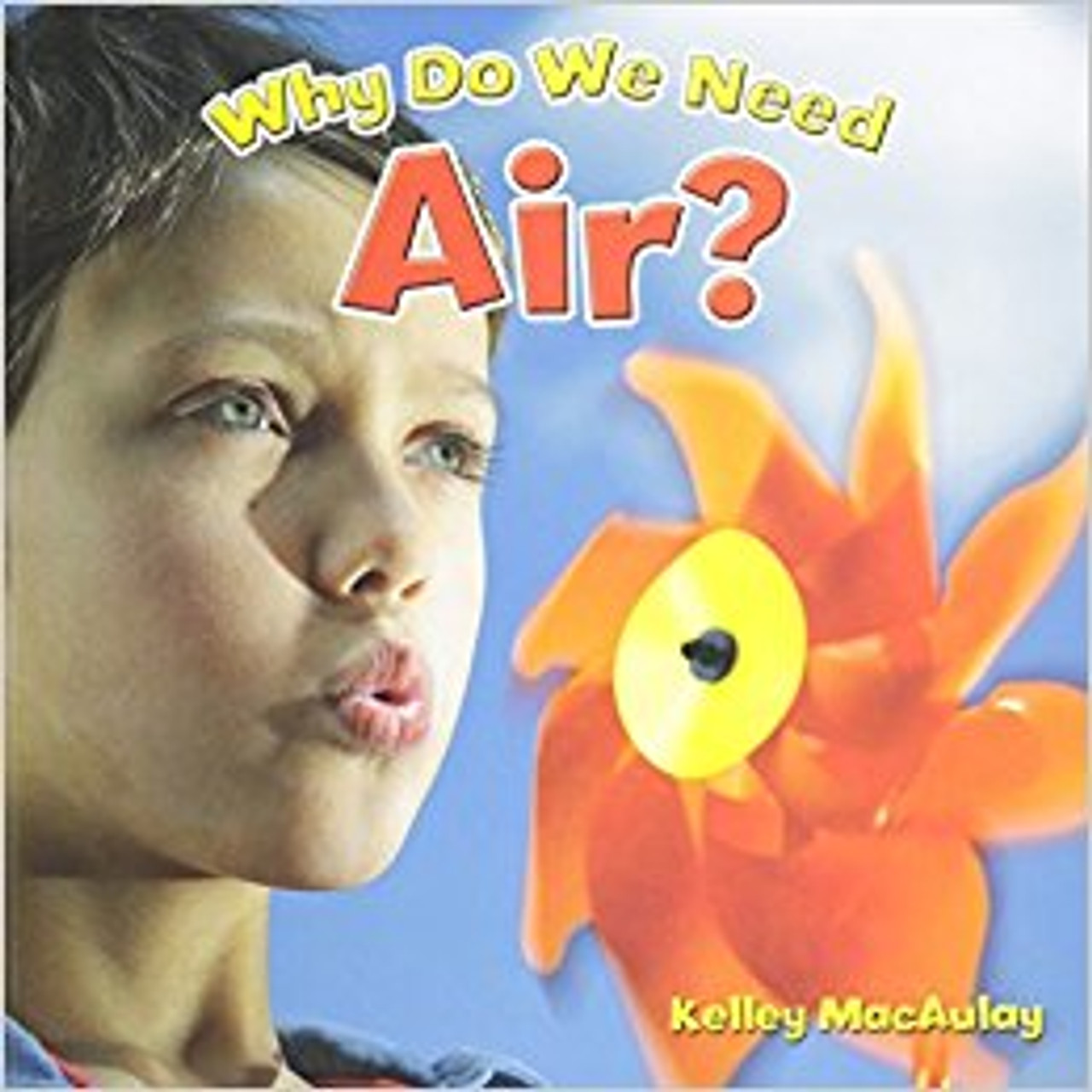 Why Do We Need Air? by Kelley MacAulay