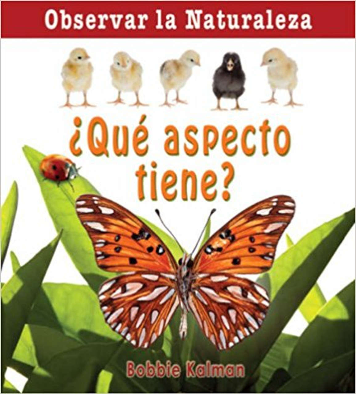 Que Aspecto Tiene? by Bobbie Kalman