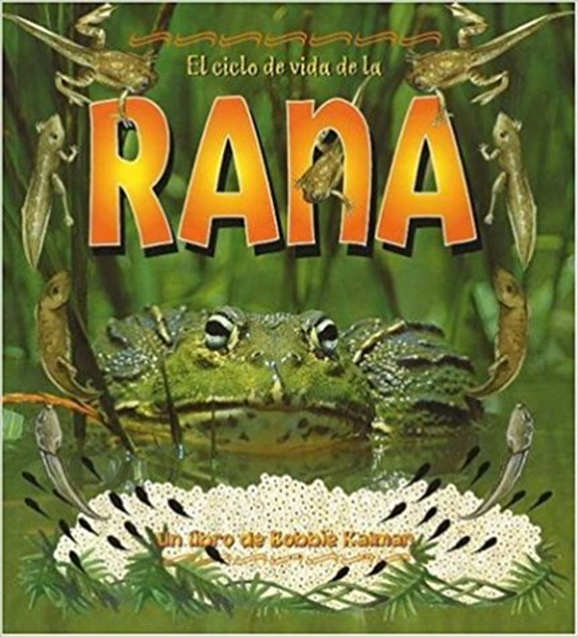 El Ciclo de Vida de la Rana by Bobbie Kalman