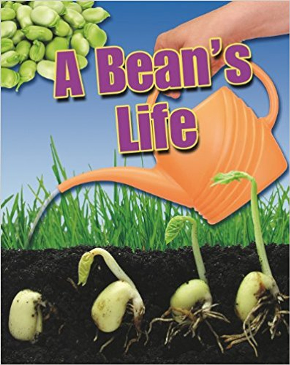 A Bean's Life by Angela Roytson