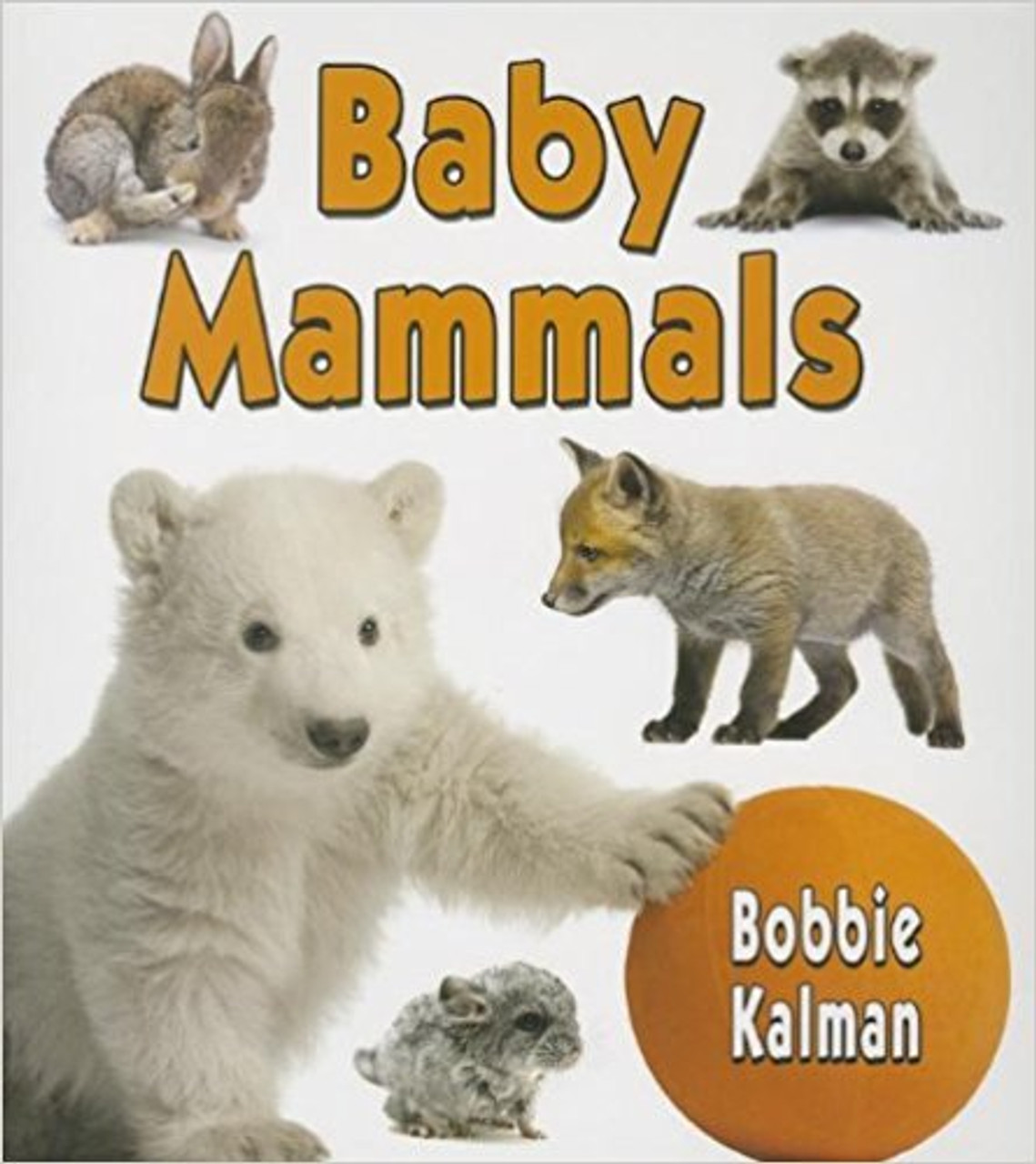 Baby Mammals (Paperback) by Bobbie Kalman