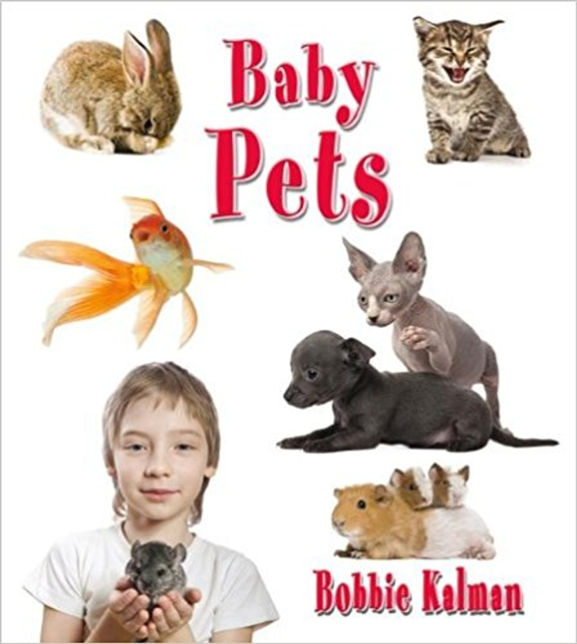 Baby pets (Paperback) by Bobbie Kalman