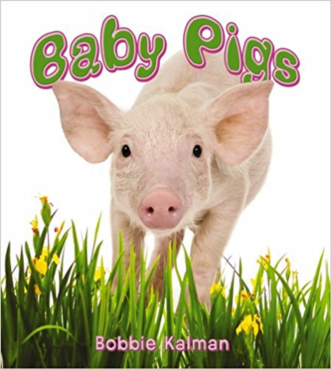 Baby Pigs (Paperback) by Bobbie Kalman