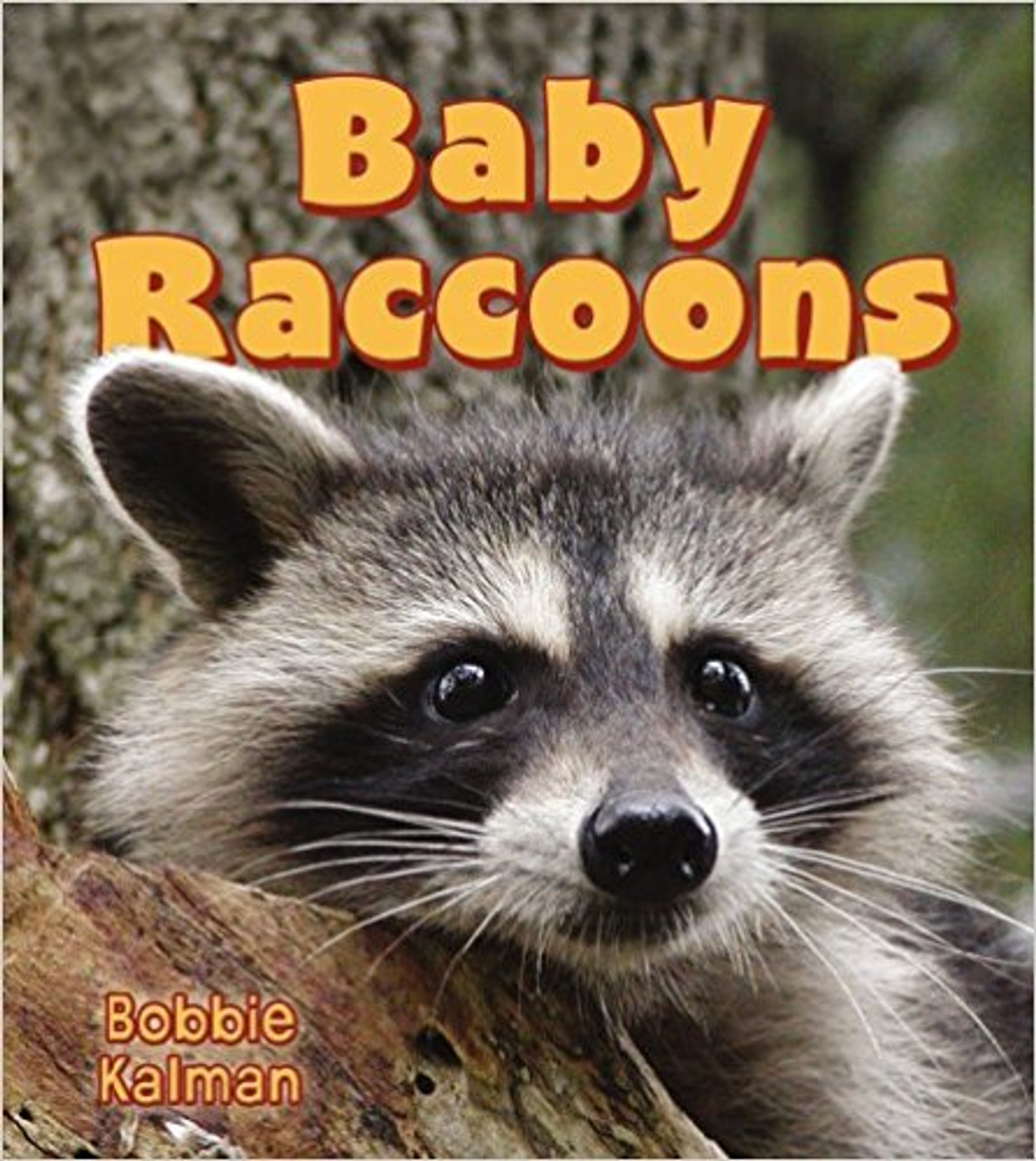 Baby Raccoons (Paperback) by Bobbie Kalman