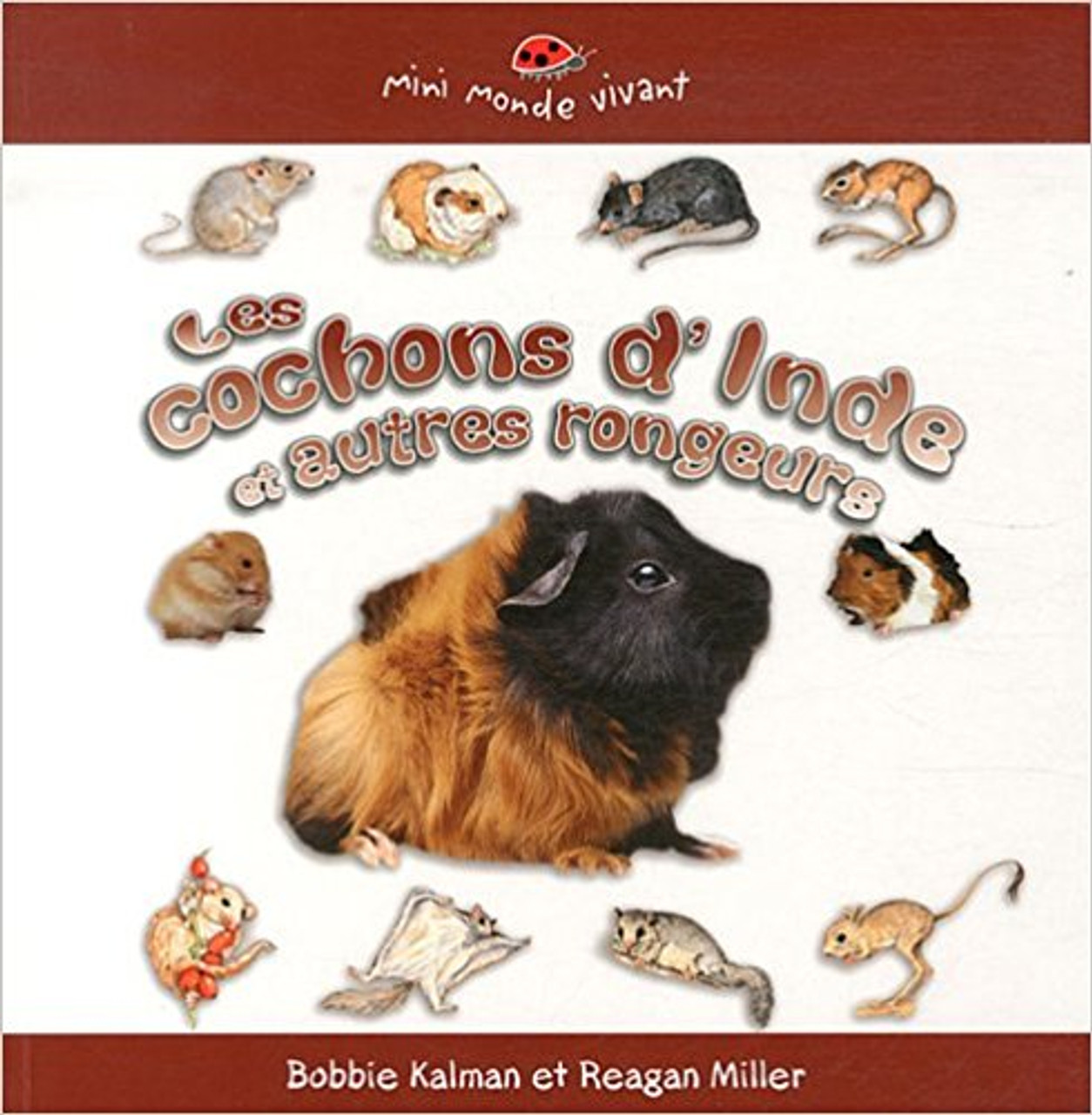 Les Cochons d'Inde et Autres Rongeurs by Bobbie Kalman