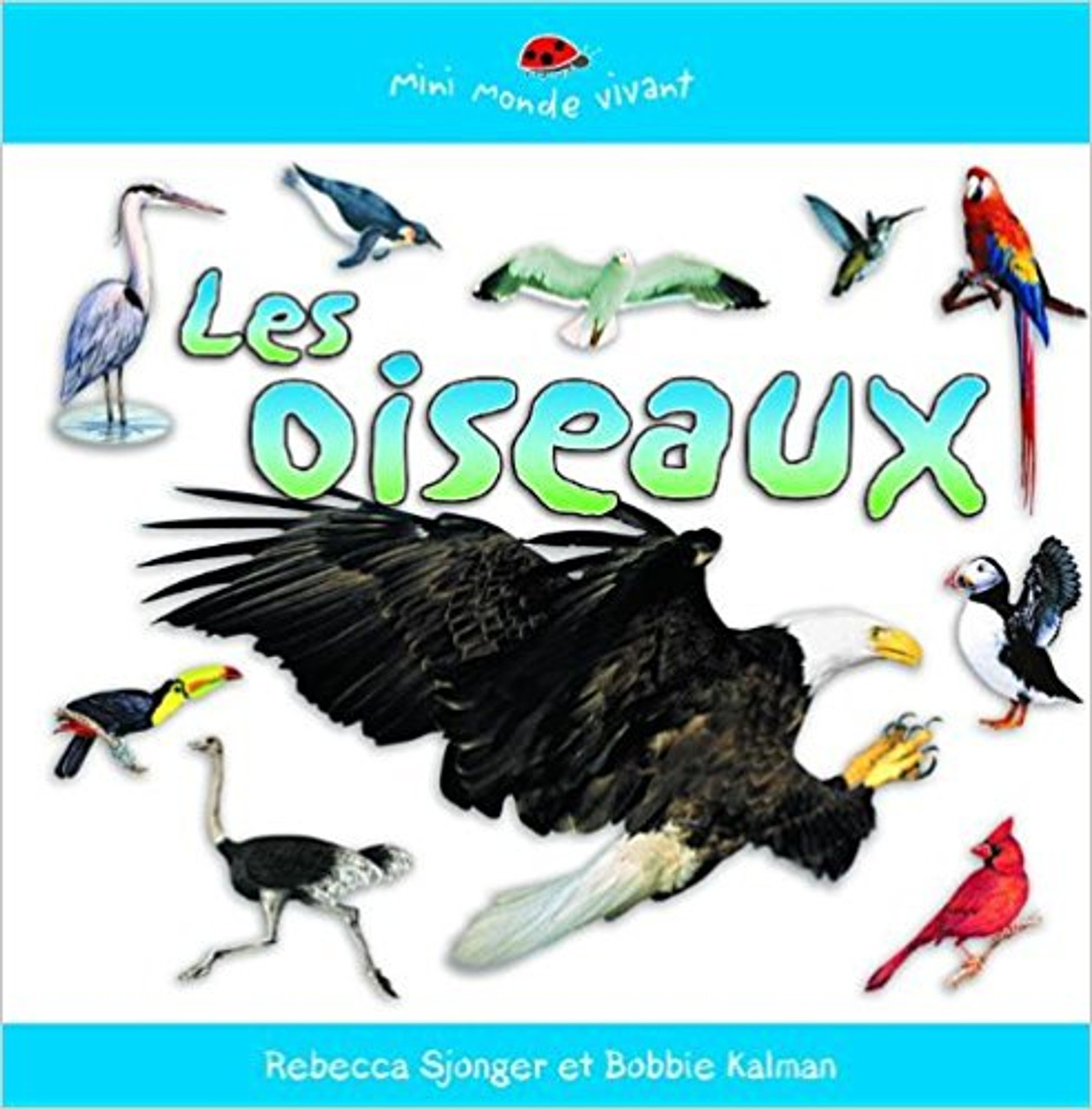 Les Oiseaux by Rebecca Sjonger