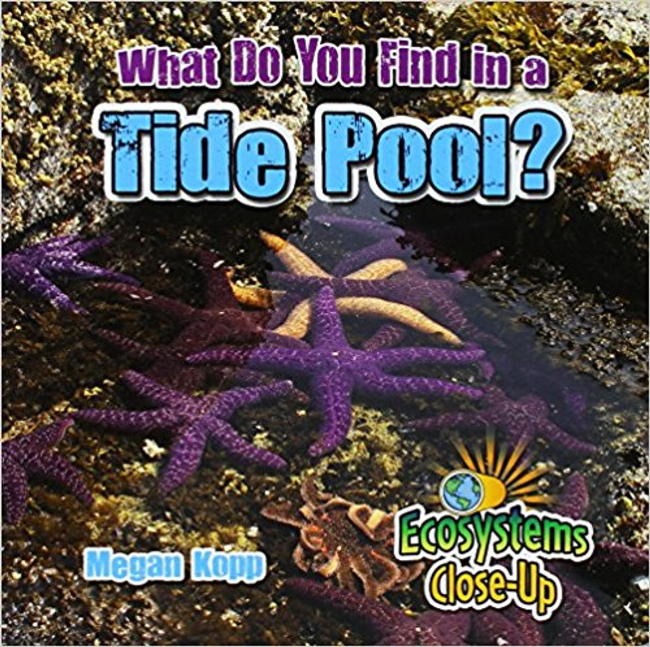 What do You Find in a Tide Pool? by Megan Kopp