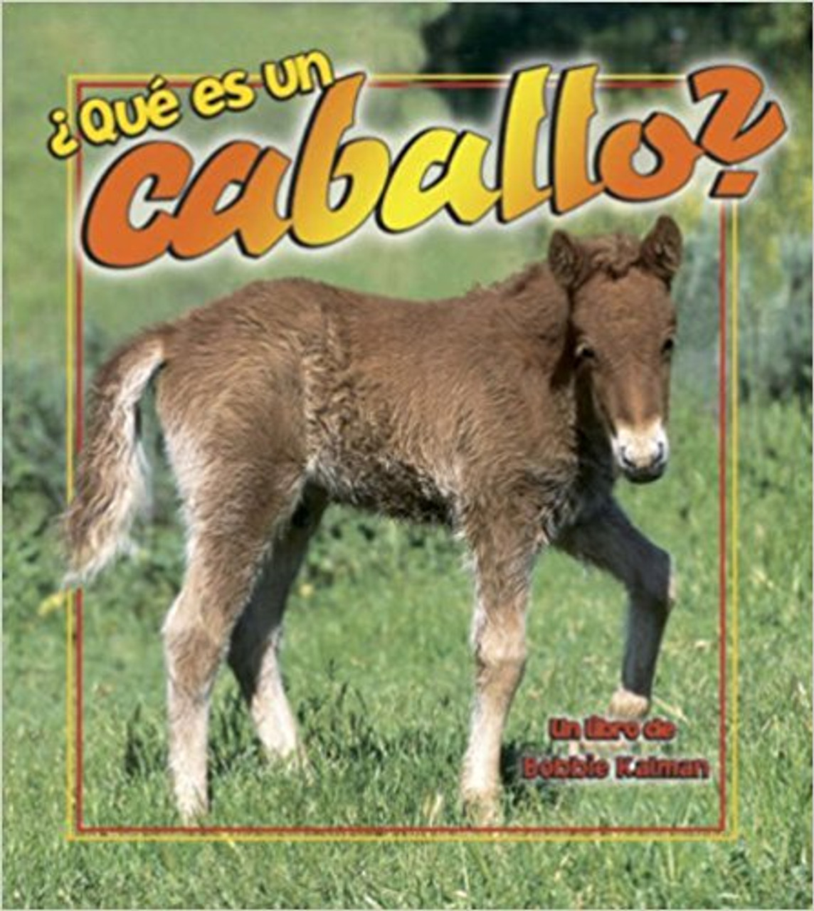 Que es un Caballo? by Bobbie Kalman