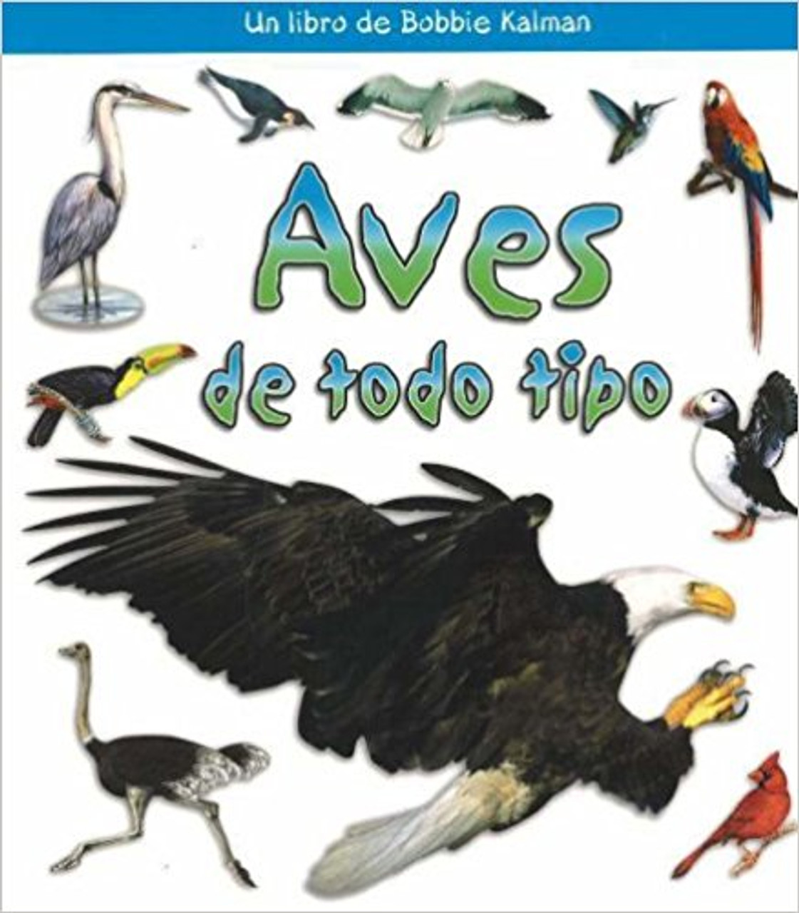 Aves de Todo Tipo by Rebecca Sjonger