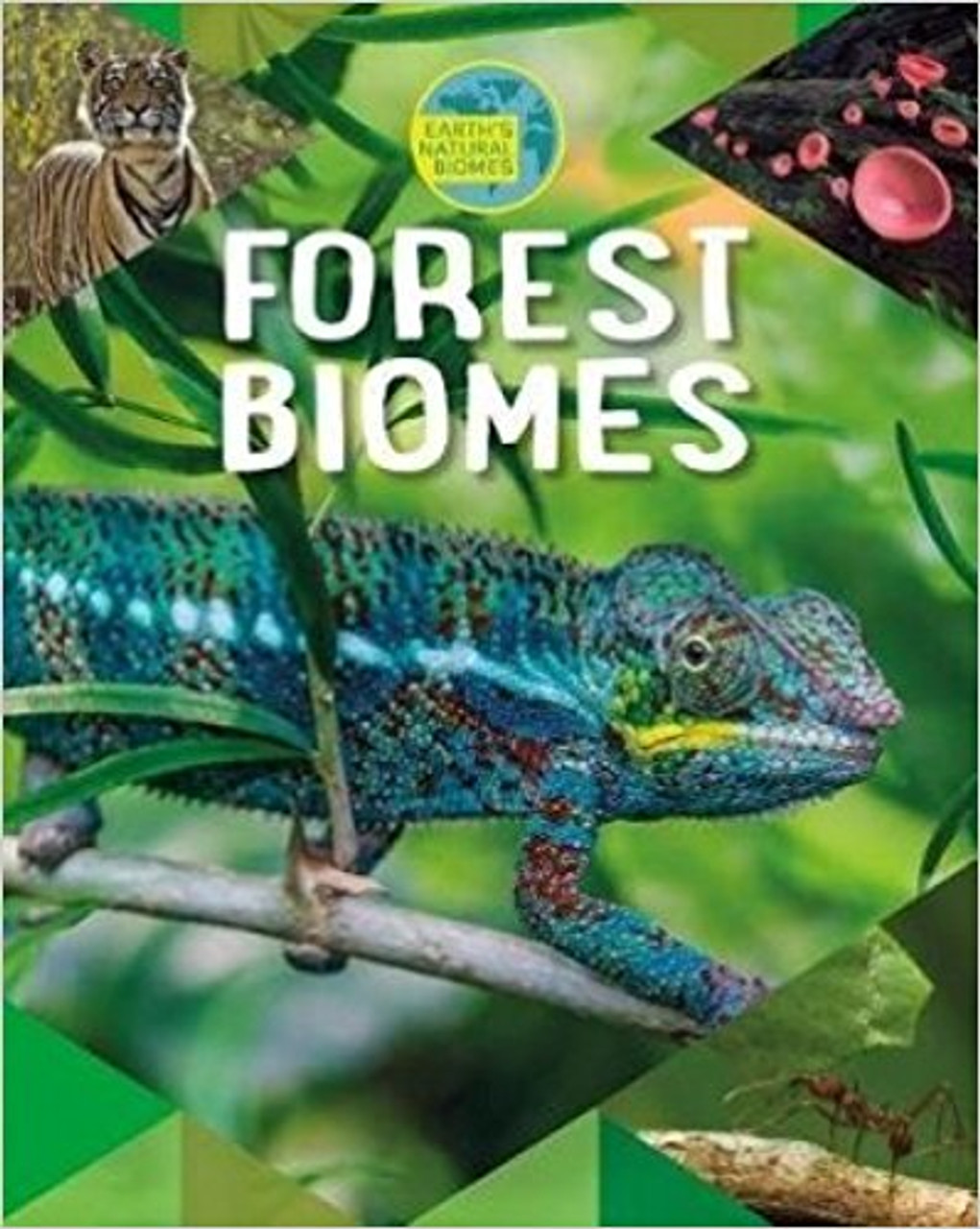 Forest Biomes by Richard Spilsbury