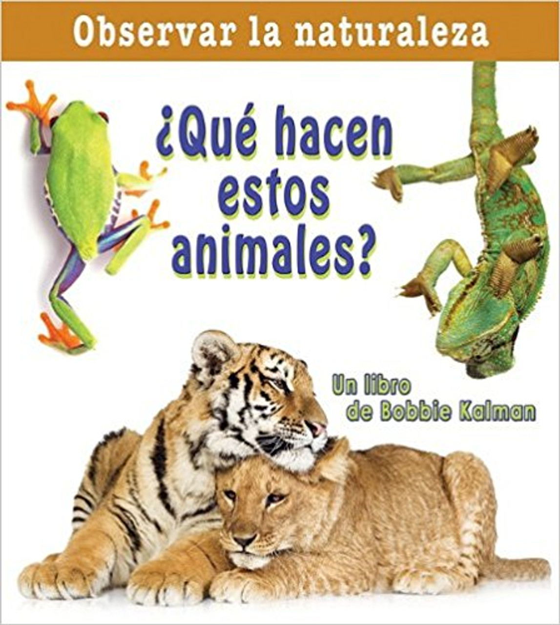 Que Hacen Estos Animales? by Bobbie Kalman