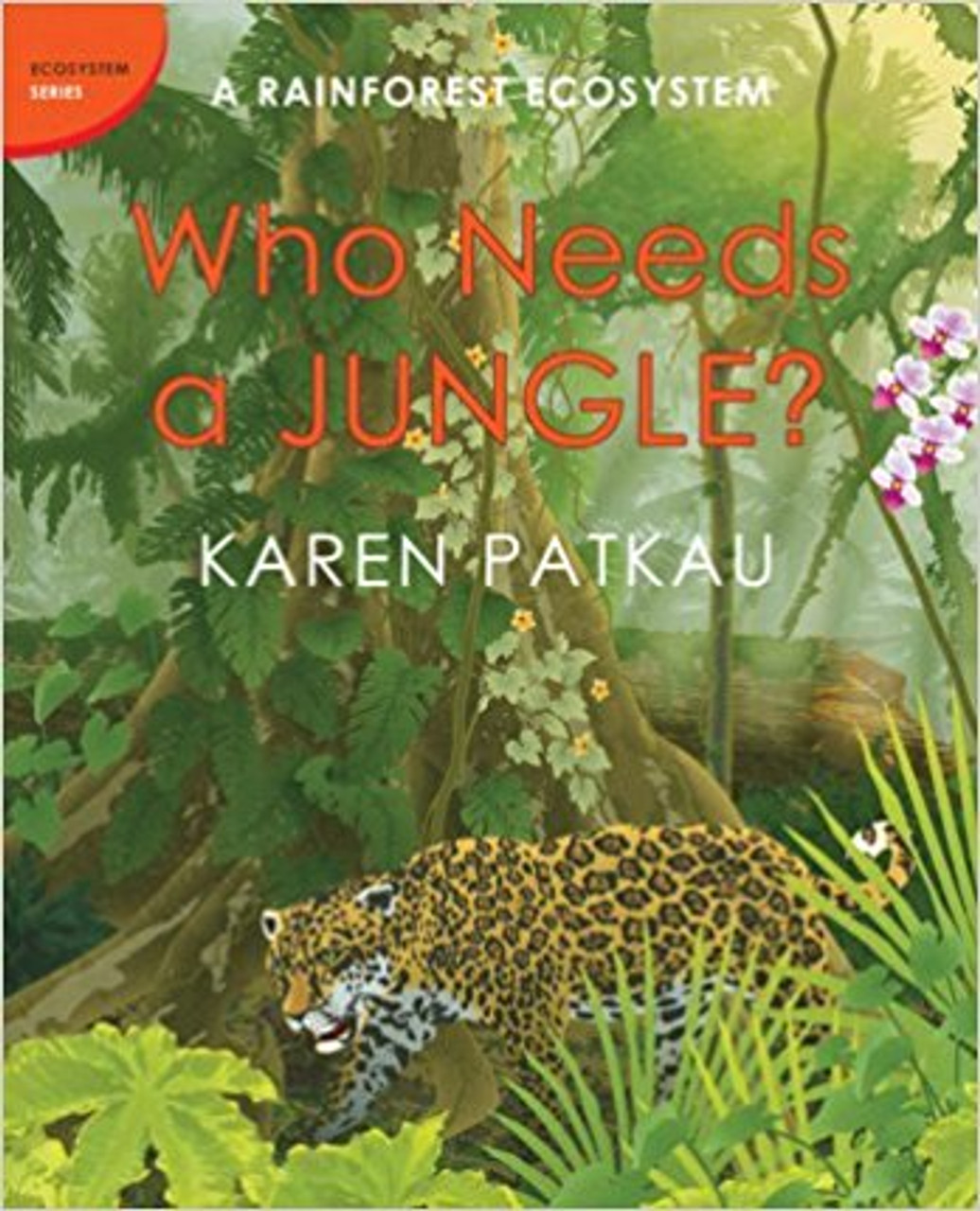 Who Needs a Jungle?: A Rainforest Ecosystem by Karen Patkau