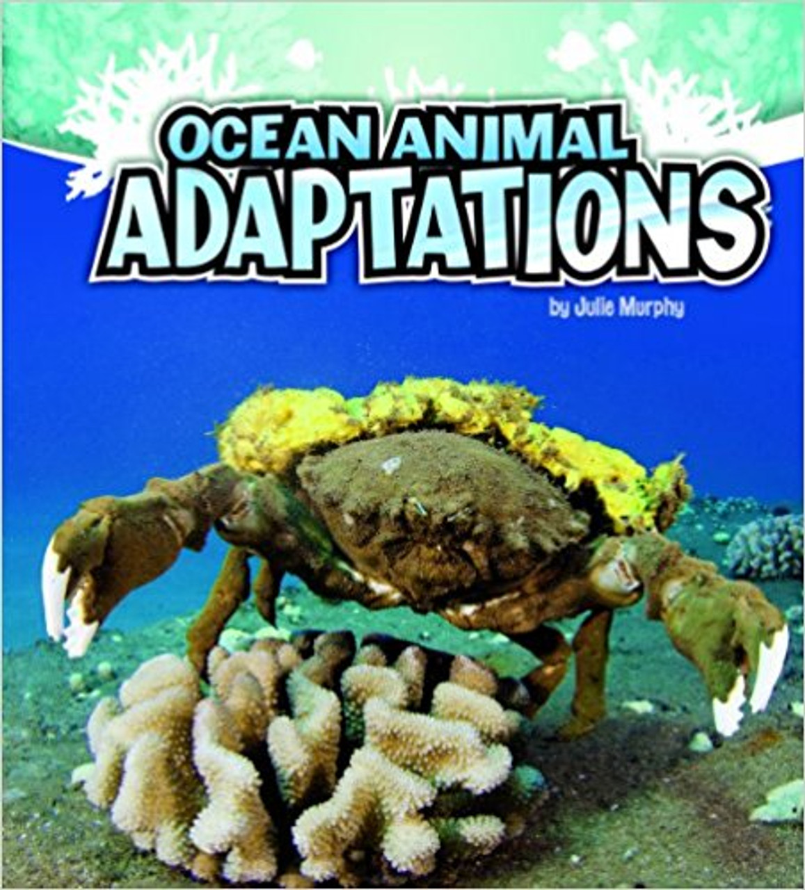 Ocean Animal Adaptations by Julie Murphy