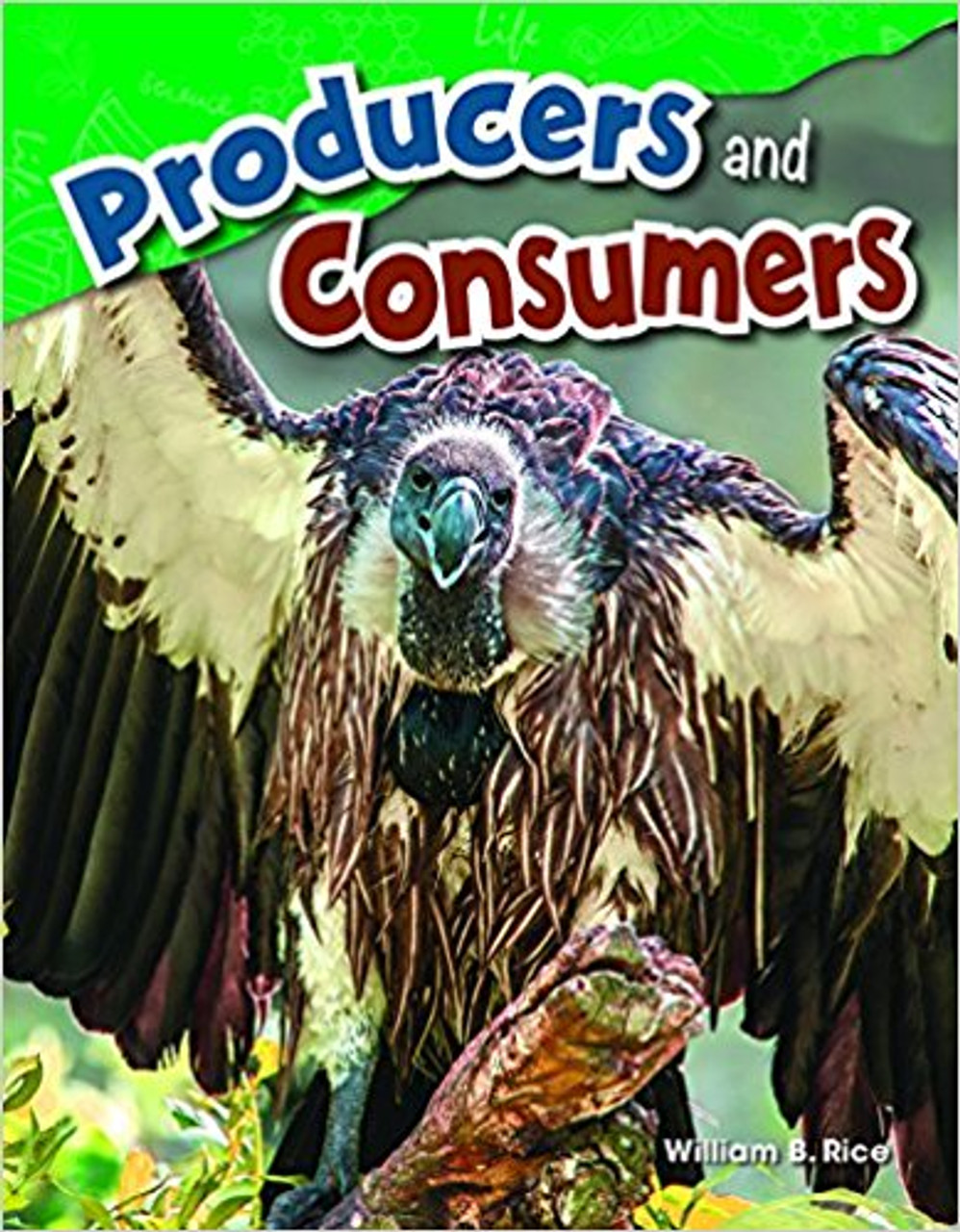 Producers and Consumers by William B Rice