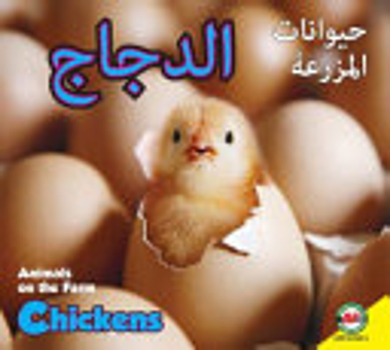 Chickens (Arabic) by Megan Kopp