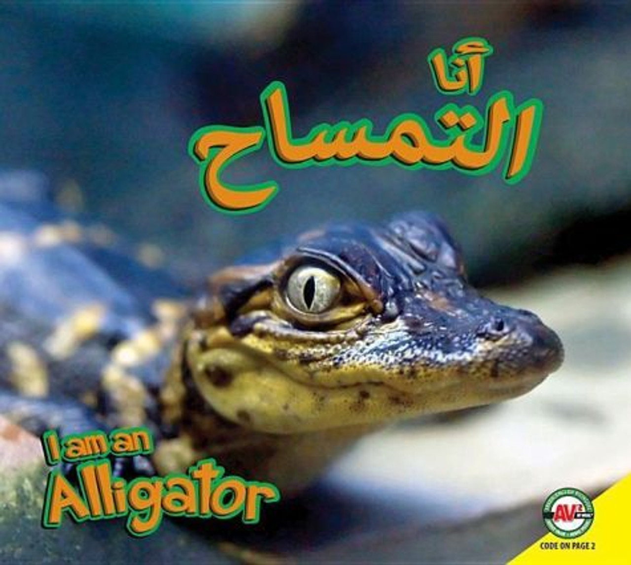 I Am an Alligator (Arabic) by Karen Durrie