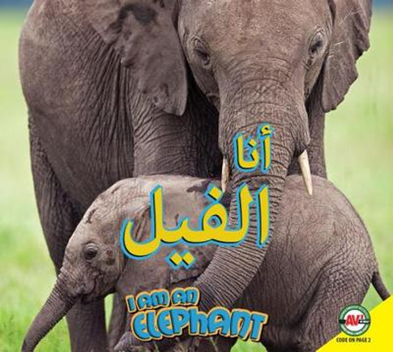 I Am an Elephant (Arabic) by Aaron Carr