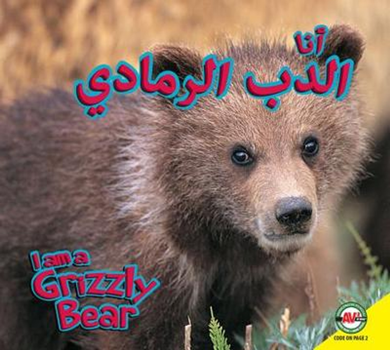I Am a Grizzly Bear (Arabic) by Karen Durrie
