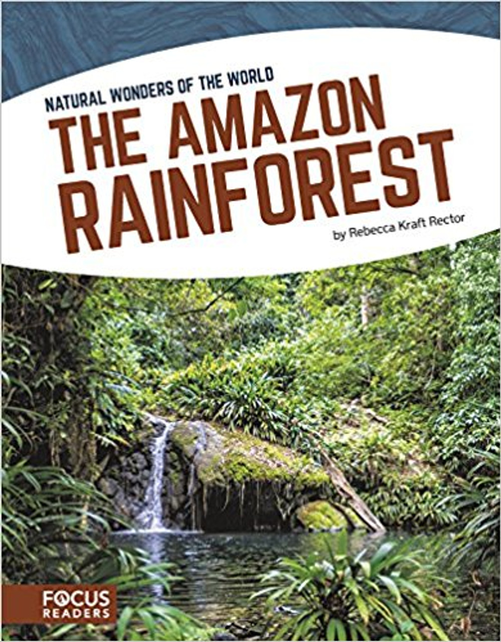 The Amazon Rainforest by Rebecca Kraft Rector