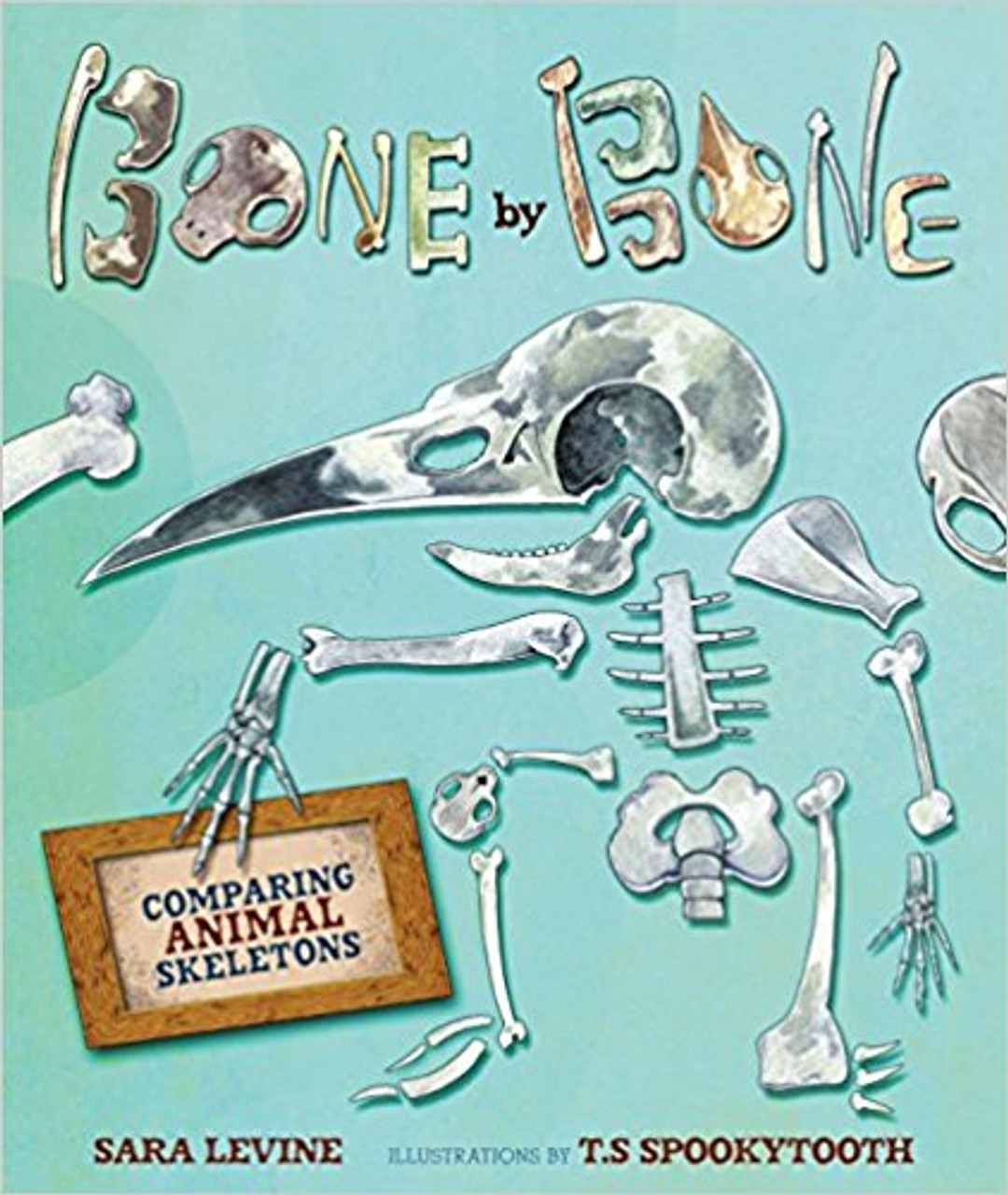 Bone by Bone: Comparing Animal Skeletons by Sara C Levine