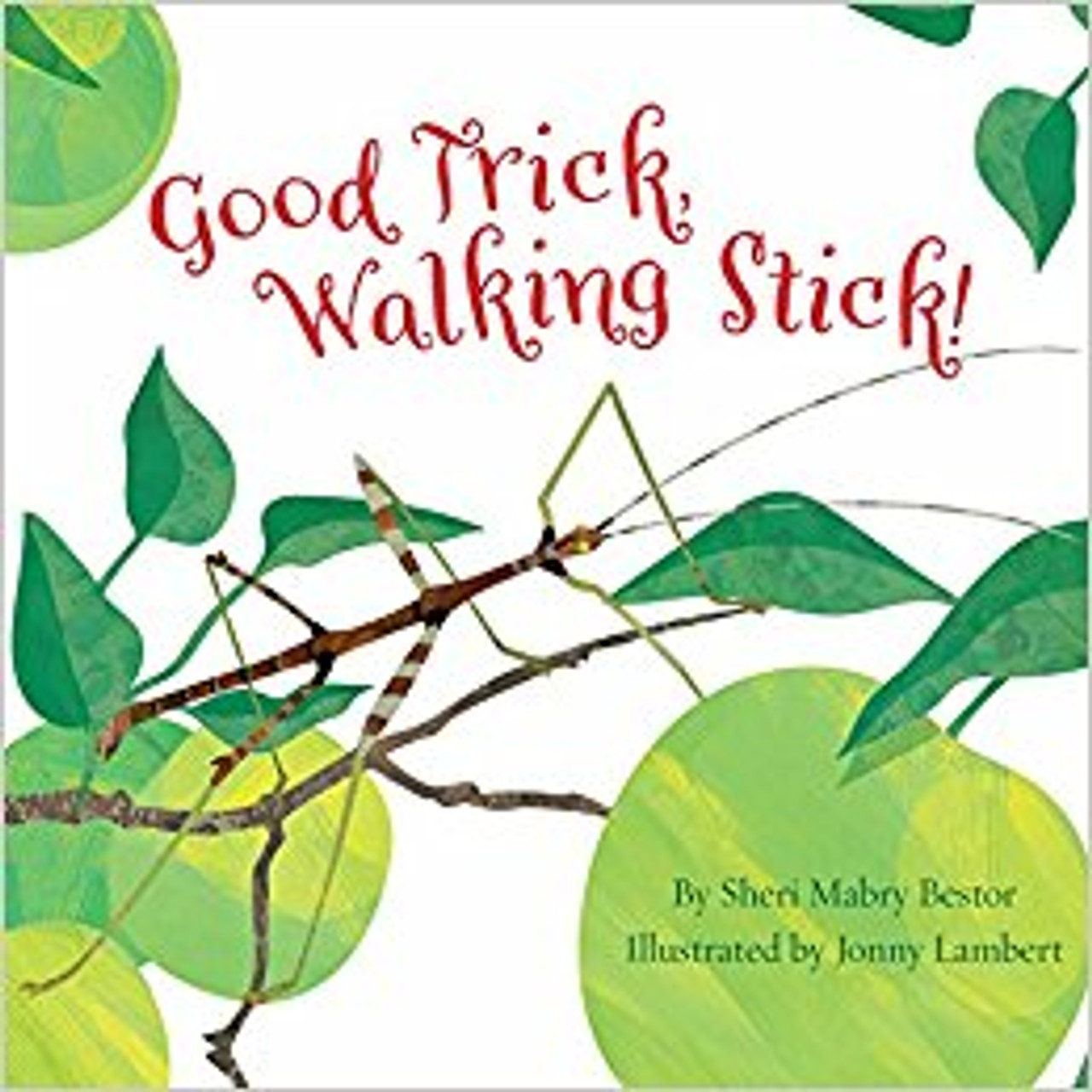 Good Trick walking Stick (Hard Cover) by Sheri M Bestor