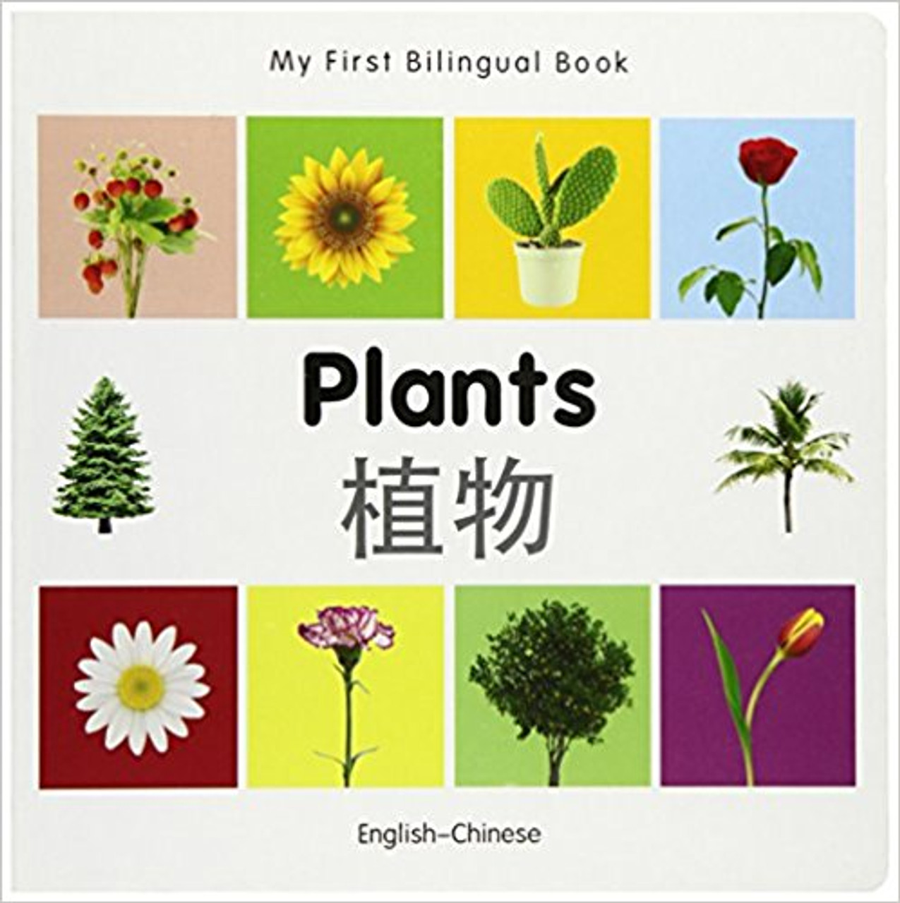 Plants by Millet Publishing