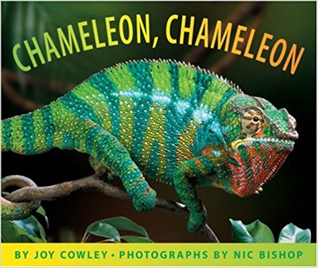 Young readers can experience the many moods (and colors) of one of the planet's most captivating creatures in this book filled with incredible photographs and simple text. Full color.