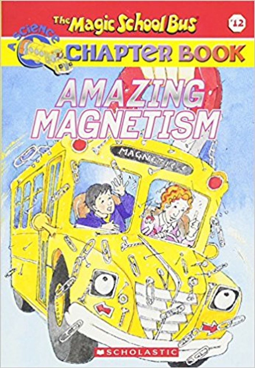 Amazing Magnetism by Rebecca Carmi