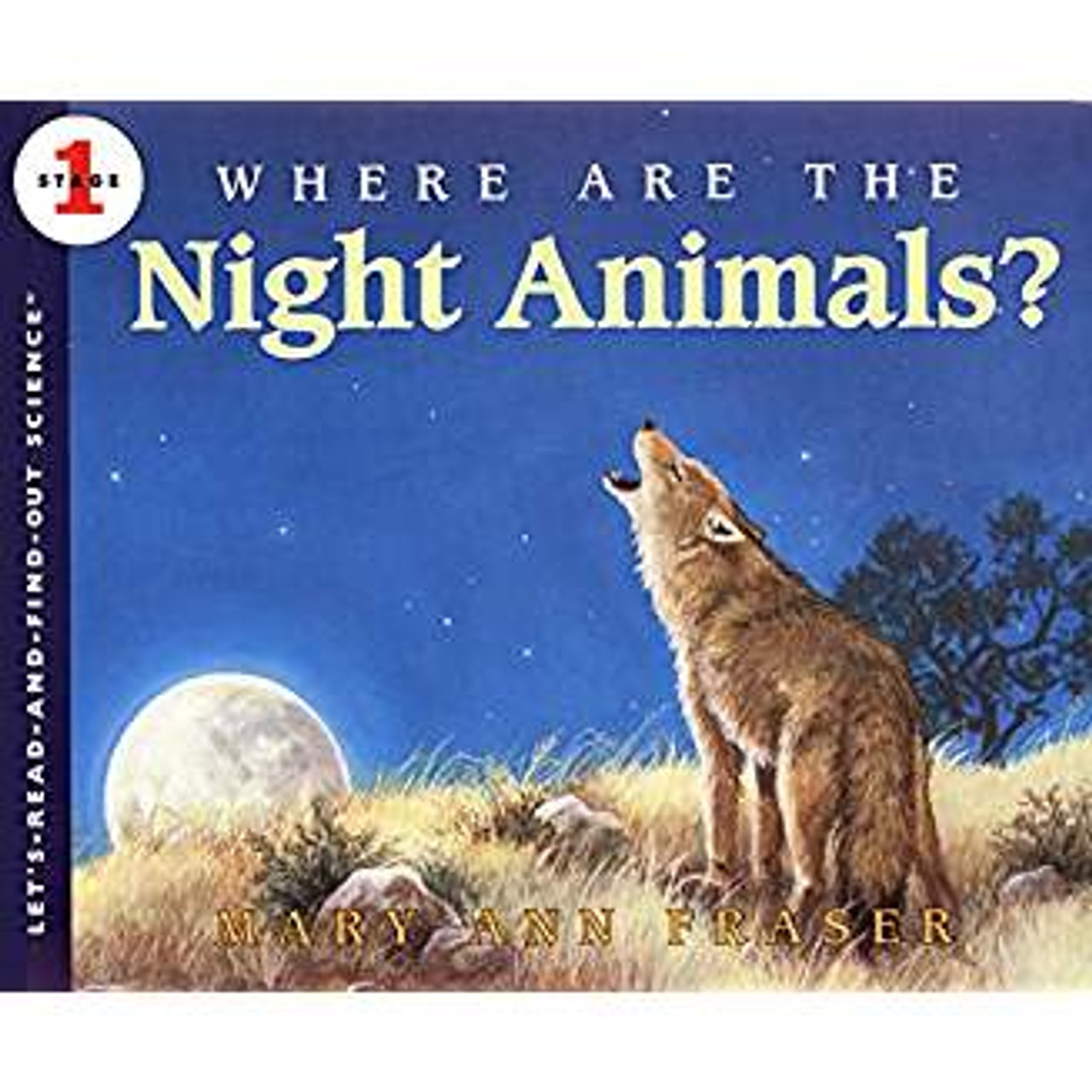 Describes various nocturnal animals and their nighttime activities, including the opossum, brown bat, and tree frog.