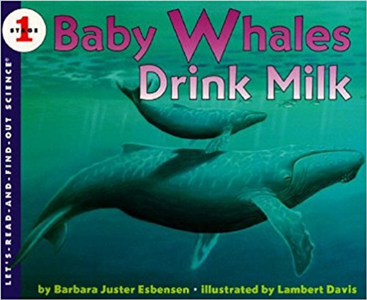 Barbara Esbensen and Lambert Davis dive into the ocean to explain why a whale is a mammal--and not just a big fish. This new "Let's Read and Find Out" science book explains the defining characteristics of mammals and how all mammals nurture their babies to help them grow up. Full color.