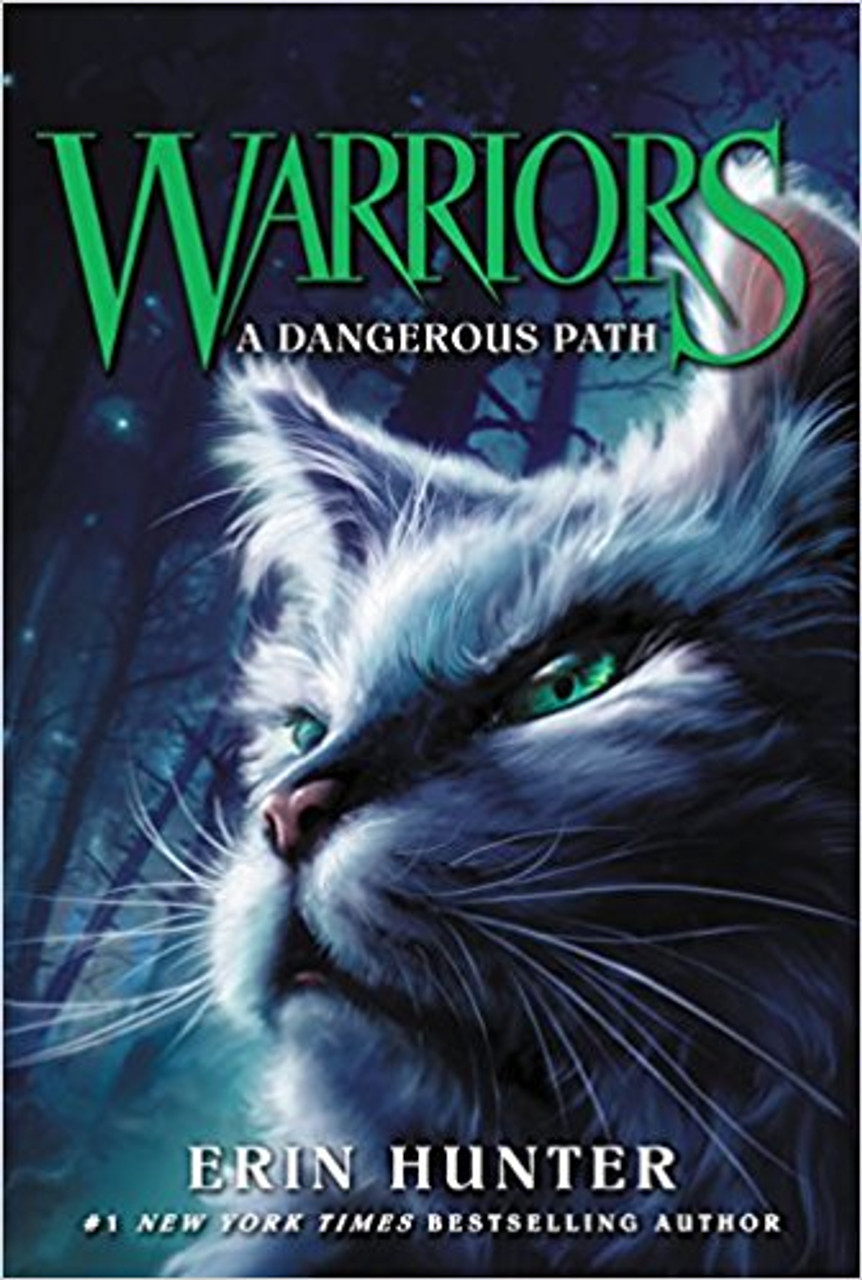 A Dangerous Path by Erin Hunter