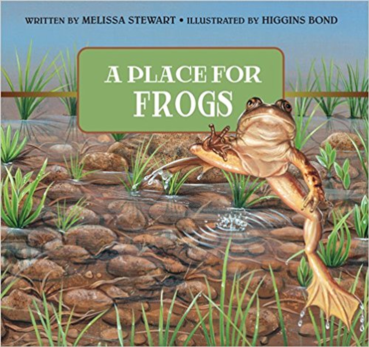 In simple yet informative language, award-winning children's science writer Melissa Stewart introduces readers to some of the ways human action or inaction can affect frog populations. More than just a book about frogs, A Place for Frogs will open readers minds to a wide range of environmental issues. Describing various examples from the northern leopard frog in Minnesota ponds to the harlequin frog in the rainforests of Central America the text provides an intriguing look at frogs, at the ecosystems that support their survival, and at the efforts of some people to save them.