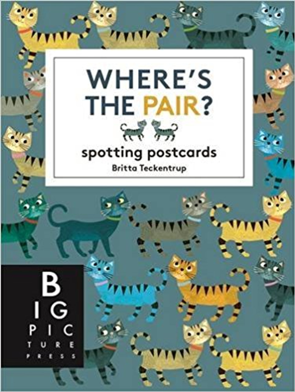 Where's the Pair? by Britta Teckentrup