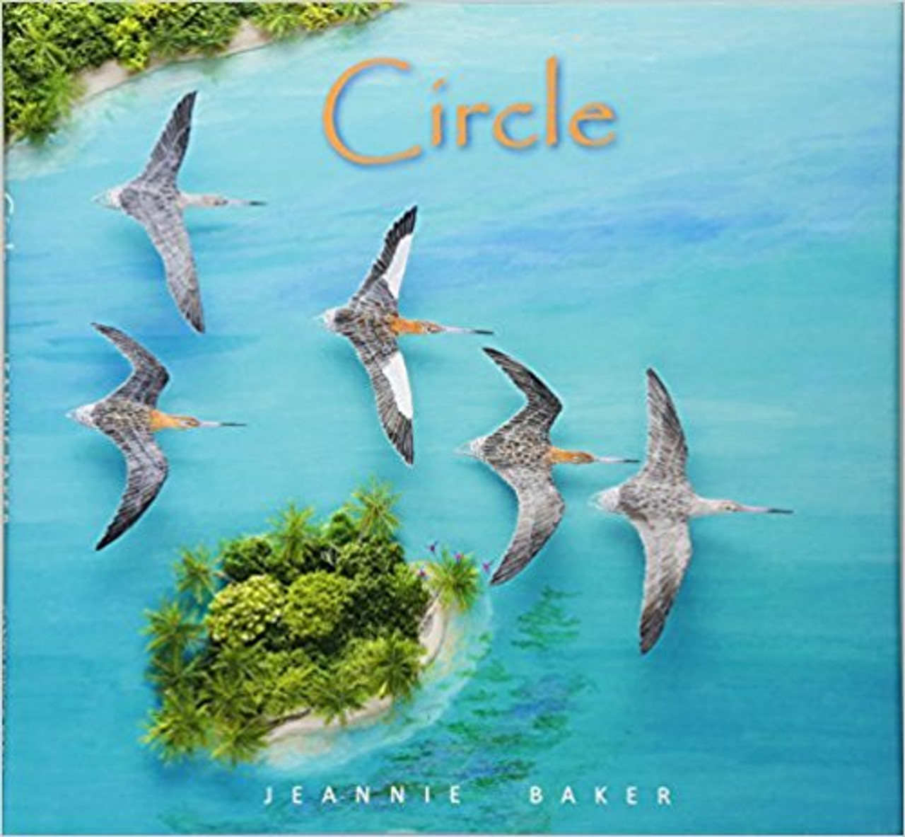 Each year, bar-tailed godwits undertake the longest unbroken migration of any bird, flying from their breeding grounds in the Arctic to Australia and New Zealand and back again. They follow invisible pathways--pathways that have been followed for thousands of years--while braving hunger and treacherous conditions to reach their destination. In Circle, Jeannie Baker follows the godwits incredible flight, taking us over awe-inspiring scenes as the birds spread their wings above such beautiful landmarks as the Great Barrier Reef and Chinas breathtaking cityscapes.