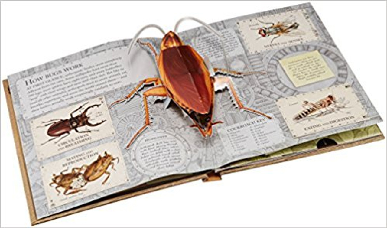 <p>Larger-than-life bugs spring from the pages, peek out from behind flaps, and hide under tabs, inviting young entomologists to marvel at the mind-boggling variety of arthropod life. Exquisite art and dramatic pop-ups bring the world of bugs to teeming life. Full color.</p>