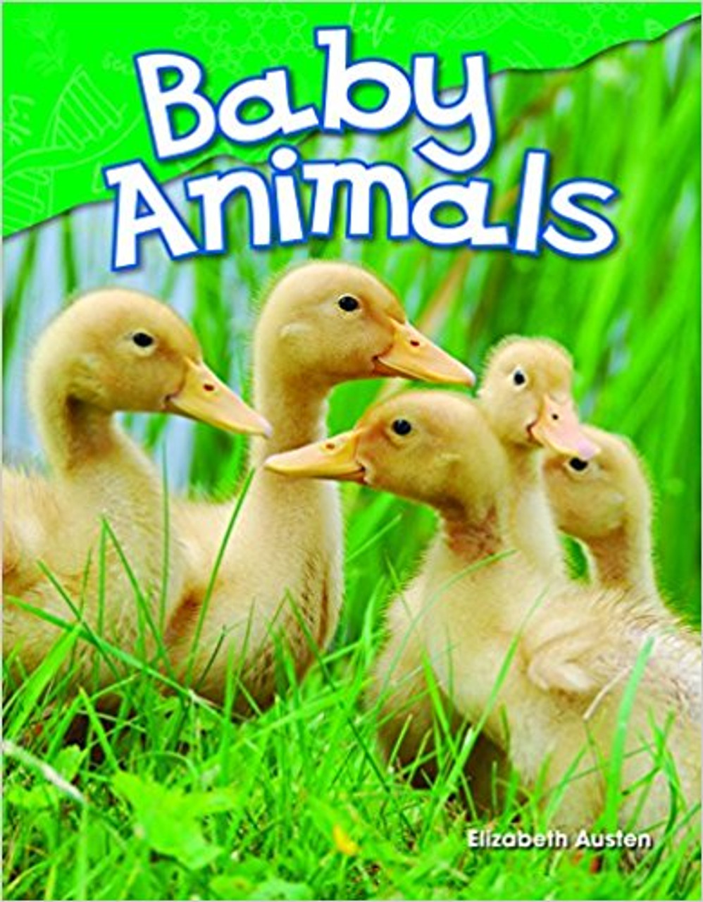 Baby Animals by Elizabeth Austen