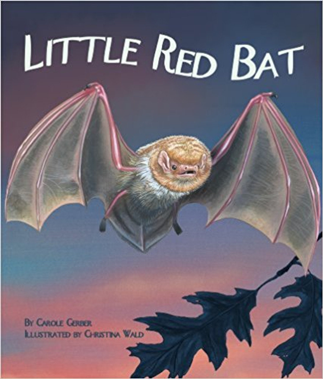 Red bats can hibernate or migrate to warmer regions during the winter.  Should this solitary little bat stay or should she go?  That's the question the little red bat ponders as the leaves fall and the nights get colder!  The squirrel tells her to stay.  But what about the dangerous creatures that hunt red bats in winter? The sparrow urges her to go.  But where?  Carole Gerber takes young readers on an educational journey through one bat's seasonal dilemma in Little Red Bat.  The For Creative Minds educational section includes: Match the Bat Adaptation, Bat Fun Facts, How Animals Deal with Seasonal Changes, Red Bats and Seasonal Change, and Bat Life Cycle Sequencing Activity.