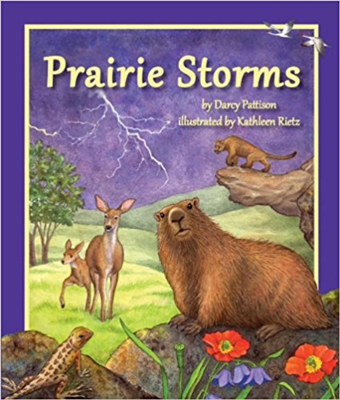 Explore the prairie ecosystem through its ever-changing weather.  Each month features a storm typical of that season and a prairie animal who must shelter, hide, escape, or endure those storms.