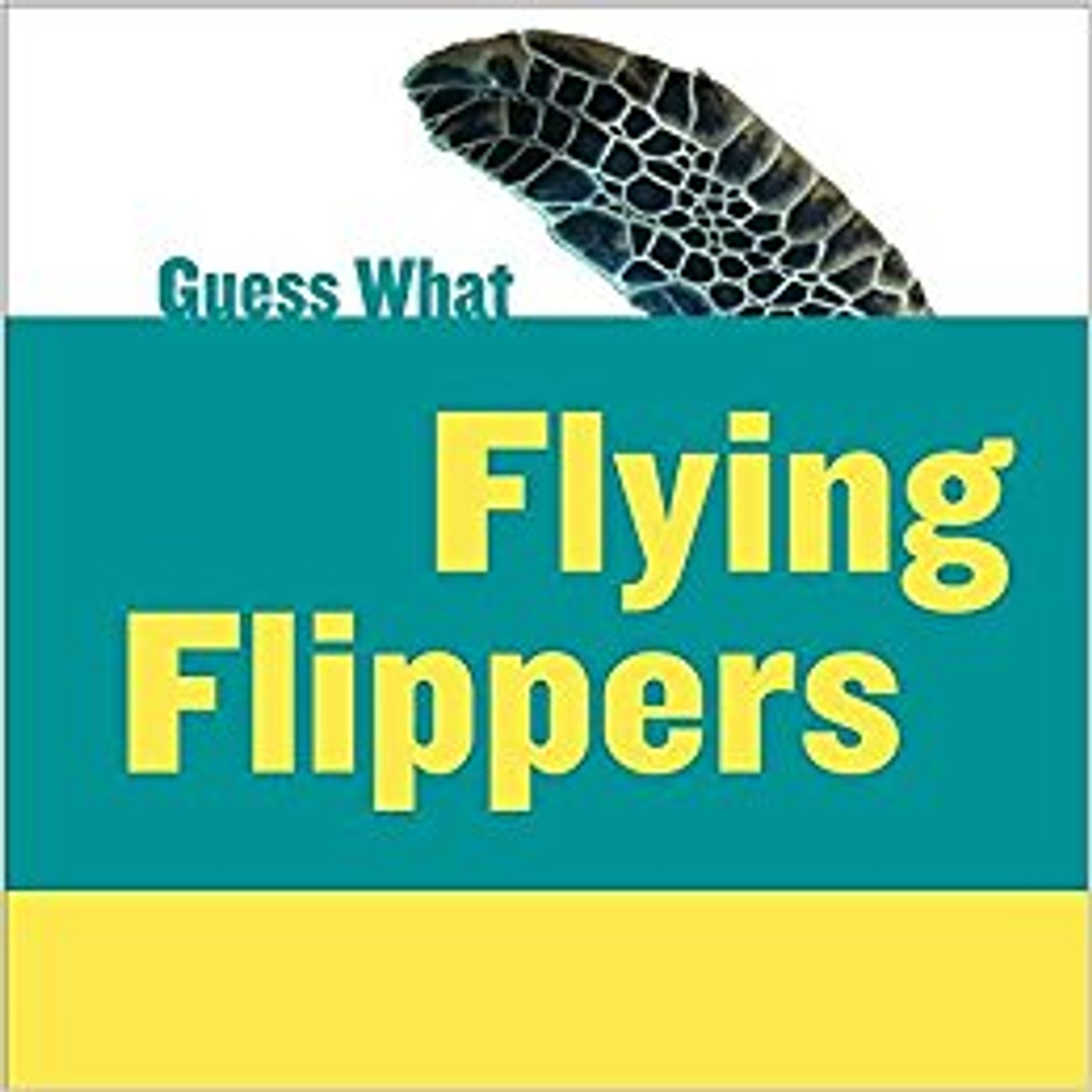 Flying Flippers by Felicia Macheske