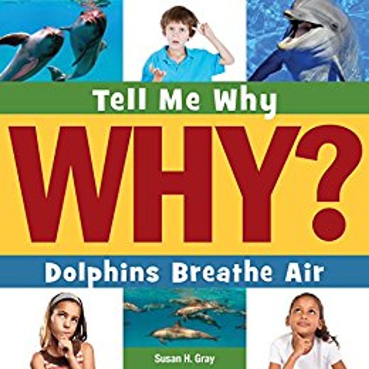 Dolphins Breathe Air by Susan H Gray
