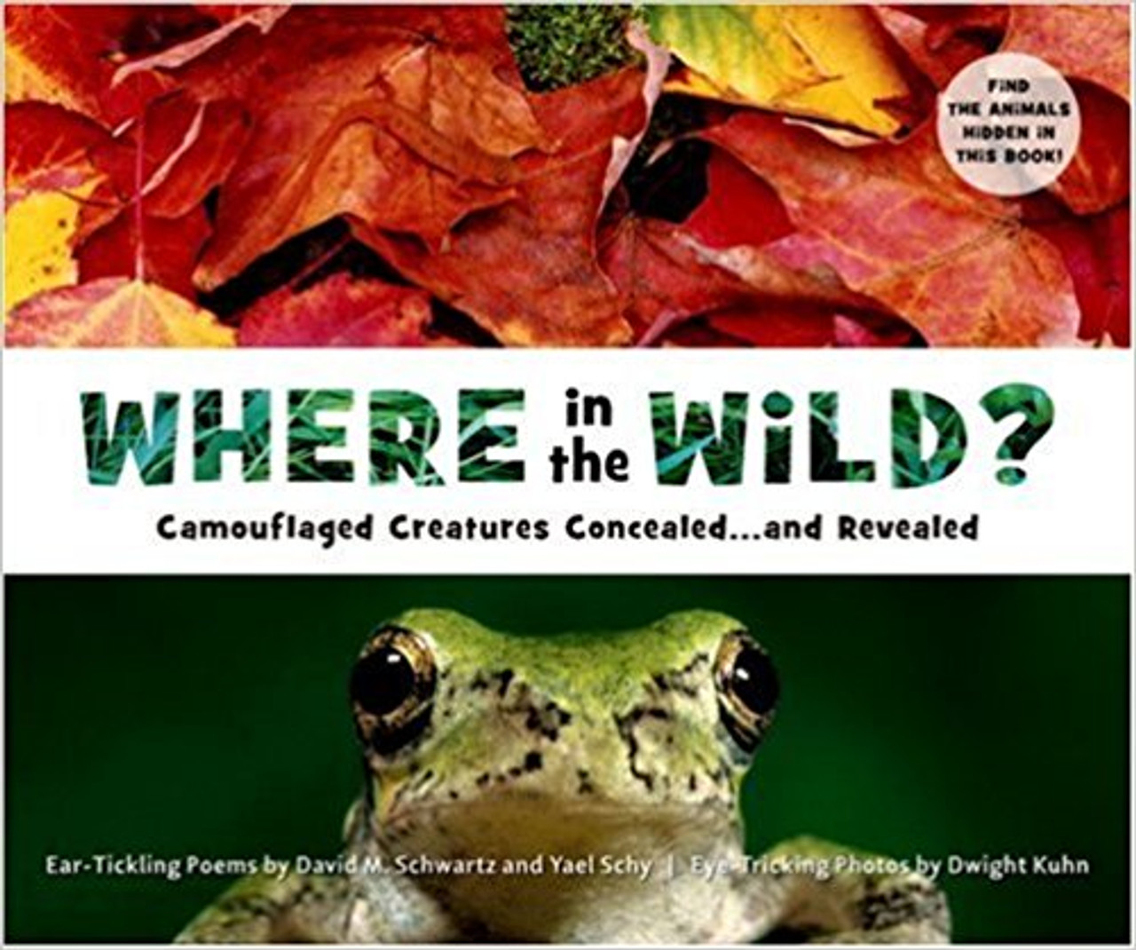 Featuring facts about how nature's camouflage serves hunter and hunted alike, a picture book invites young readers to lift the gatefolds and find ten creatures who are hiding in plain sight.